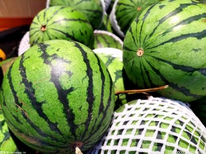 长夏季节最爱的水果 西瓜全身都是宝！