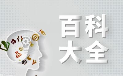 晋江文学有什么特点？晋江文学网络用语是什么意思？