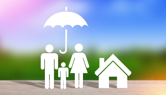 养老板块股票（2026/2/20） 每日视讯